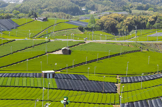 �䡢ũ������ƻ�